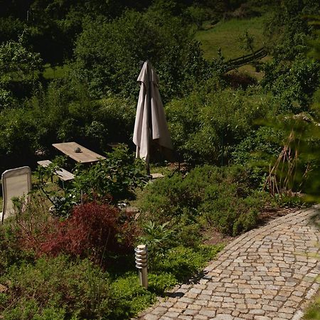 Haus Am Berzdorfer See - 3 Schlafzimmer - Ganzes Haus Zur Alleinnutzung - Terrasse - Hochwertige Ausstattung Görlitz Exteriér fotografie