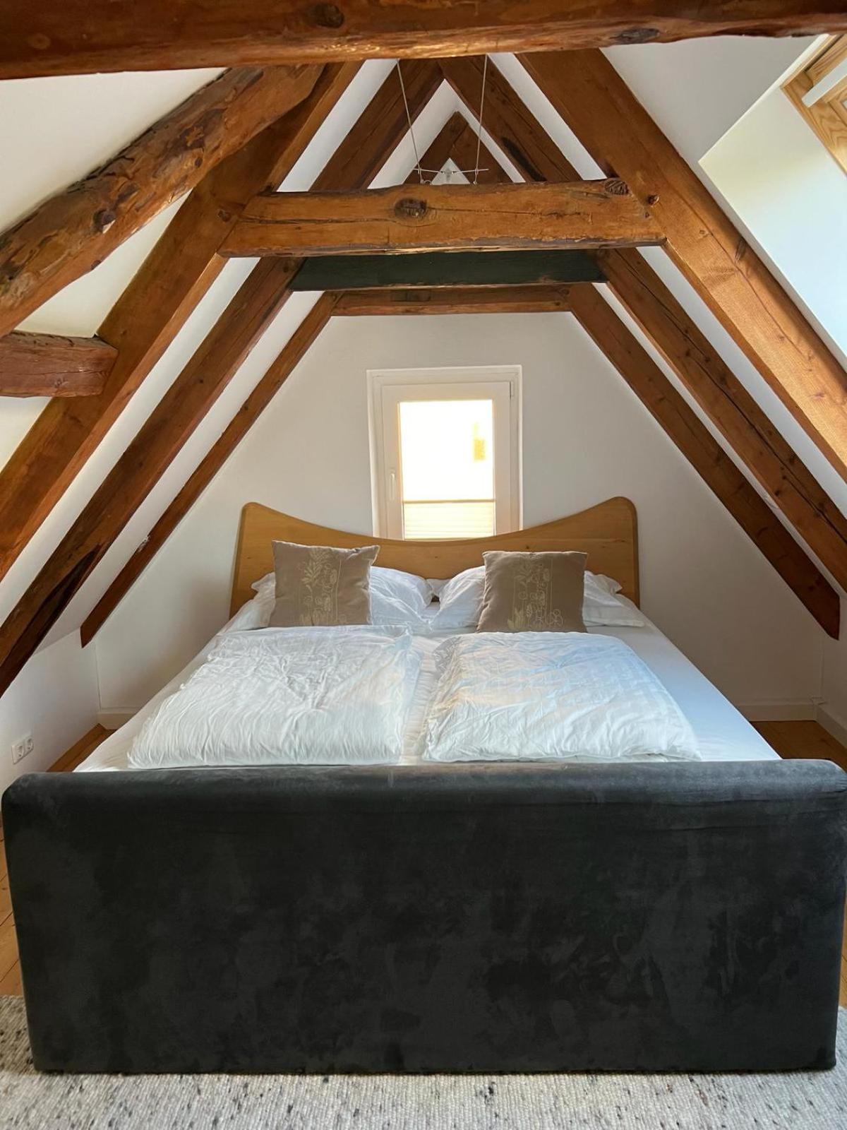 Haus Am Berzdorfer See - 3 Schlafzimmer - Ganzes Haus Zur Alleinnutzung - Terrasse - Hochwertige Ausstattung Görlitz Exteriér fotografie
